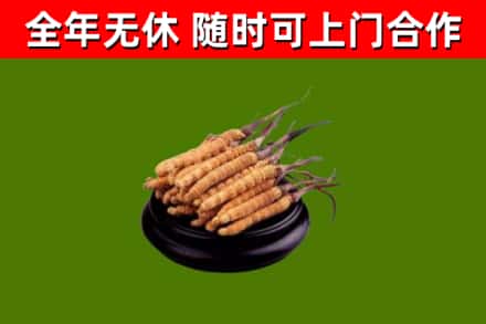 万载烟酒回收冬虫夏草.jpg