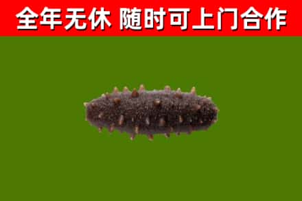 万载烟酒回收干海参.jpg